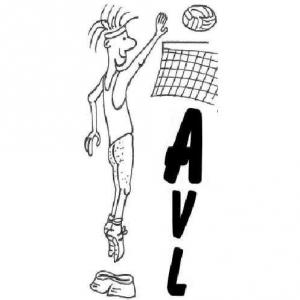 AIGREFEUILLE VOLLEY LOISIR