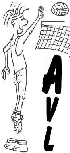 Logo AIGREFEUILLE VOLLEY LOISIR